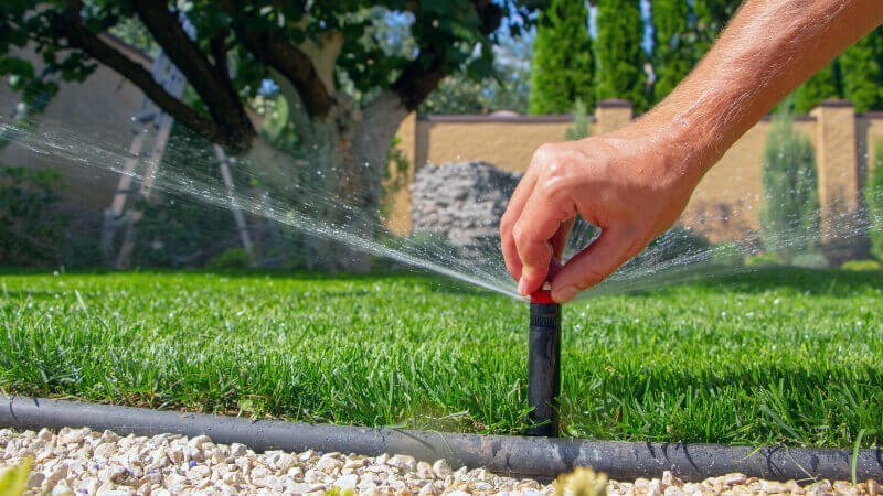 Drip Irrigation: The Pros and Cons | FMS